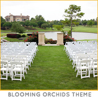 Blooming-Orchids-Theme